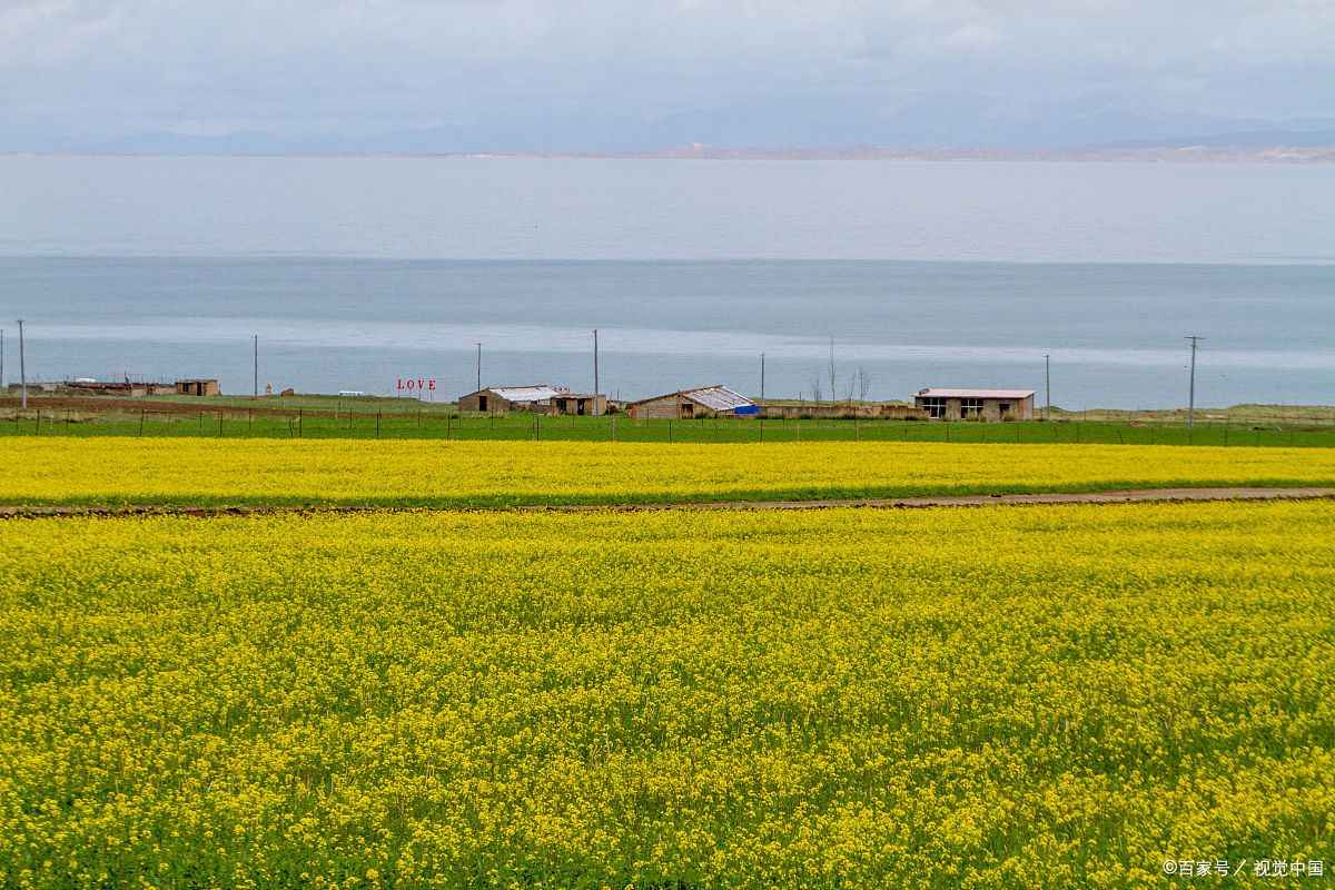 青海国旅电话号码